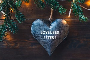 JOYEUSES FÊTES ! Istock 879145450 FR