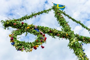 Istock 1145220031 Midsummer